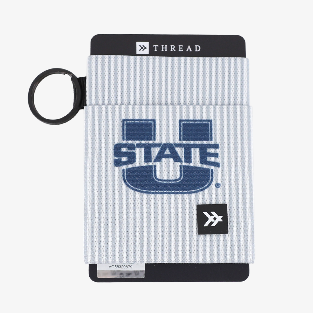 USU A - Elastic Wallet