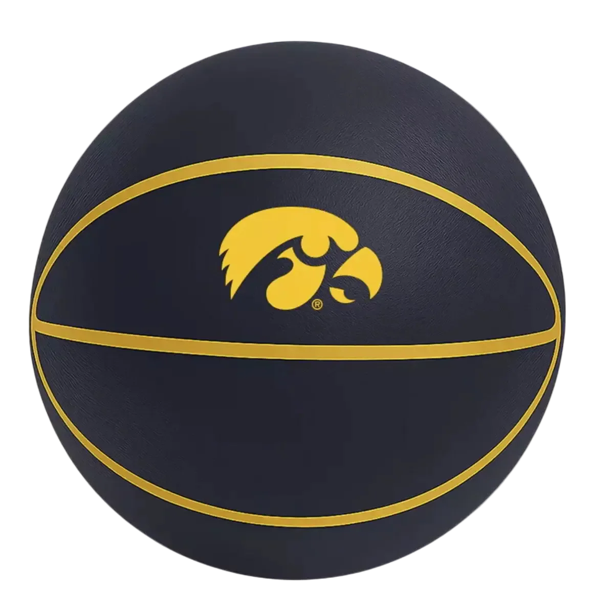 Iowa Silent Basketball