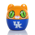 Kentucky Wildcats Bitty Boomer Speaker