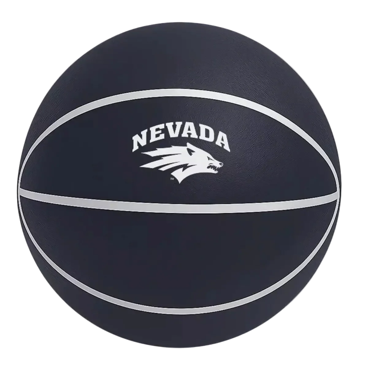 Nevada Silent Basketball