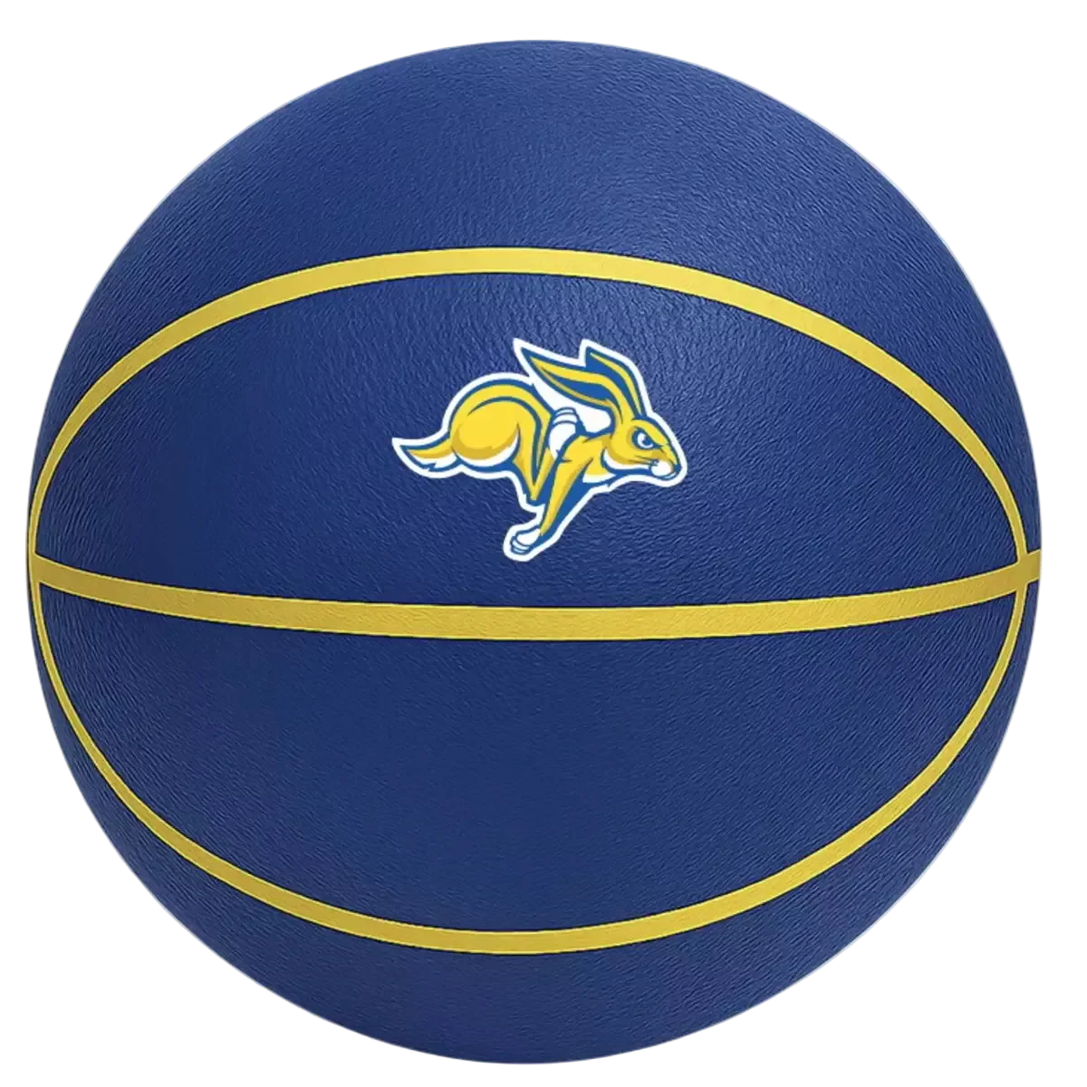 South Dakota State Silent Basketball