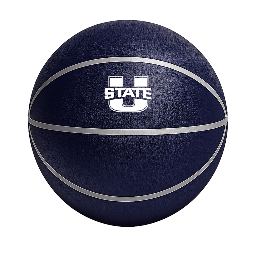Color Splash Quiet Bounce Ball